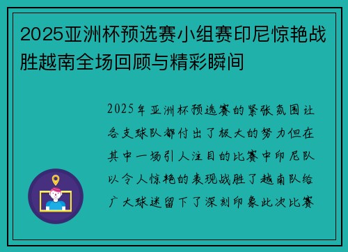 2025亚洲杯预选赛小组赛印尼惊艳战胜越南全场回顾与精彩瞬间