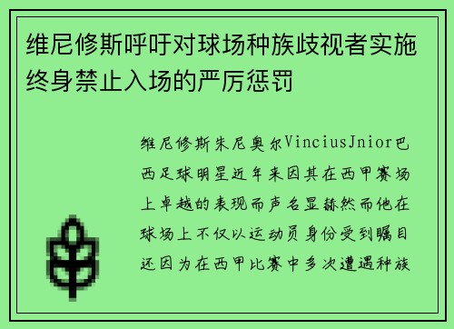 维尼修斯呼吁对球场种族歧视者实施终身禁止入场的严厉惩罚